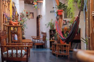 Un espacio interior acogedor con muebles de madera, una hamaca y varias macetas con plantas.