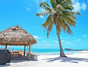 Une scène de plage avec une hutte à toit de chaume, un palmier et une jetée en bois en arrière-plan.