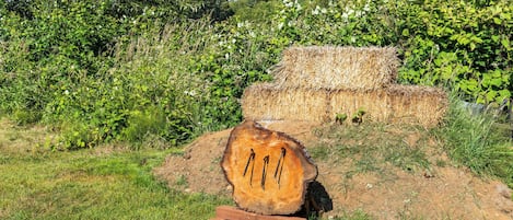 Terrain de lâhĂ©bergement