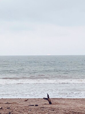 On the beach - Beautiful ocean view house, garage, Ac, laundry, fully equipped, dog friendly 🐕 (Pedernales)