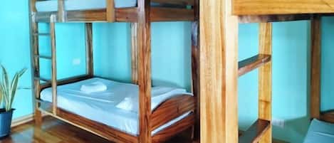 Una cama litera con estructura de madera y colchón, una planta en maceta y suelo de madera.