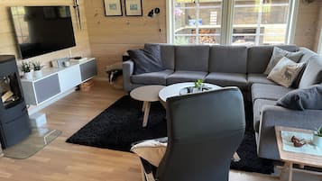 Smart TV, fireplace, books, stereo