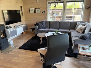 Smart TV, chimenea, libros, estéreo