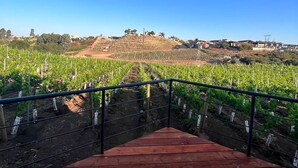 Suite estudio superior, vistas al viñedo