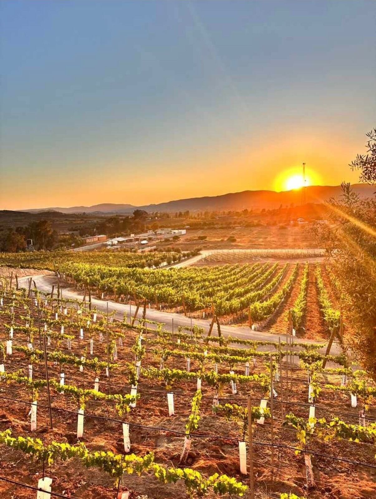 Foto - Castillo Toscana Hotel Boutique