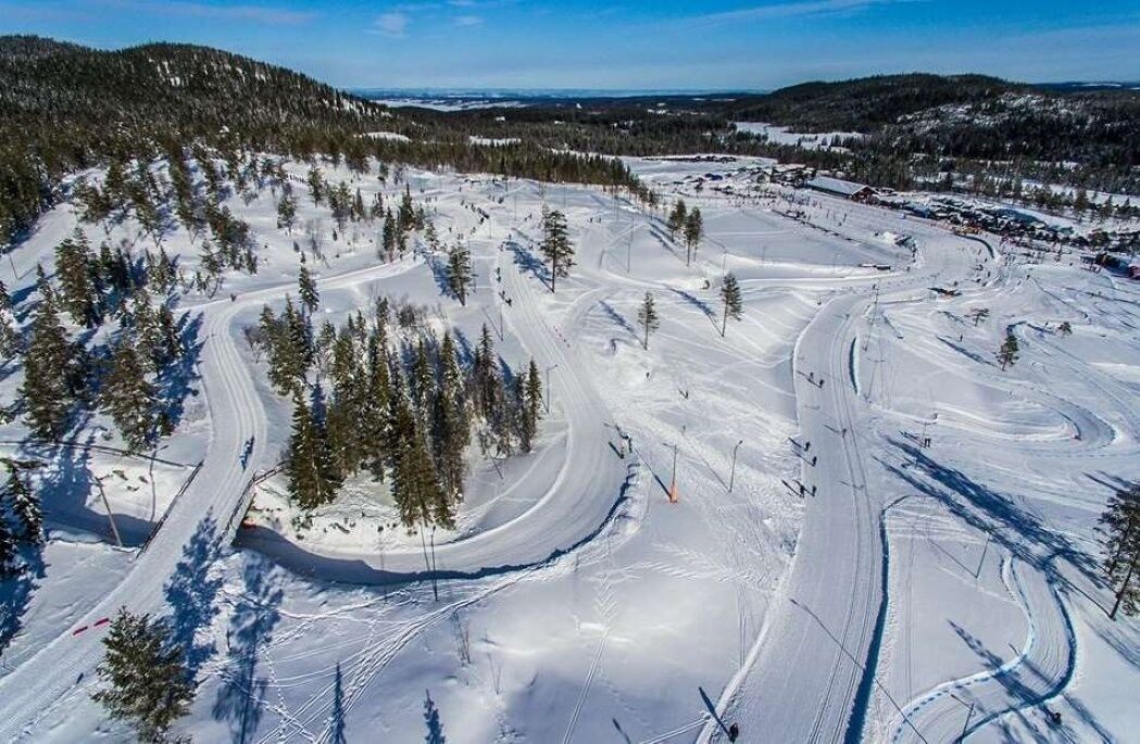 A snow-covered ski slope with marked trails and trees.