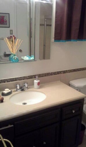 Hair dryer, towels, soap, shampoo
