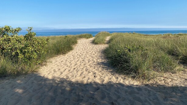 Un sendero arenoso que conduce a la playa, con cielos azules y despejados.