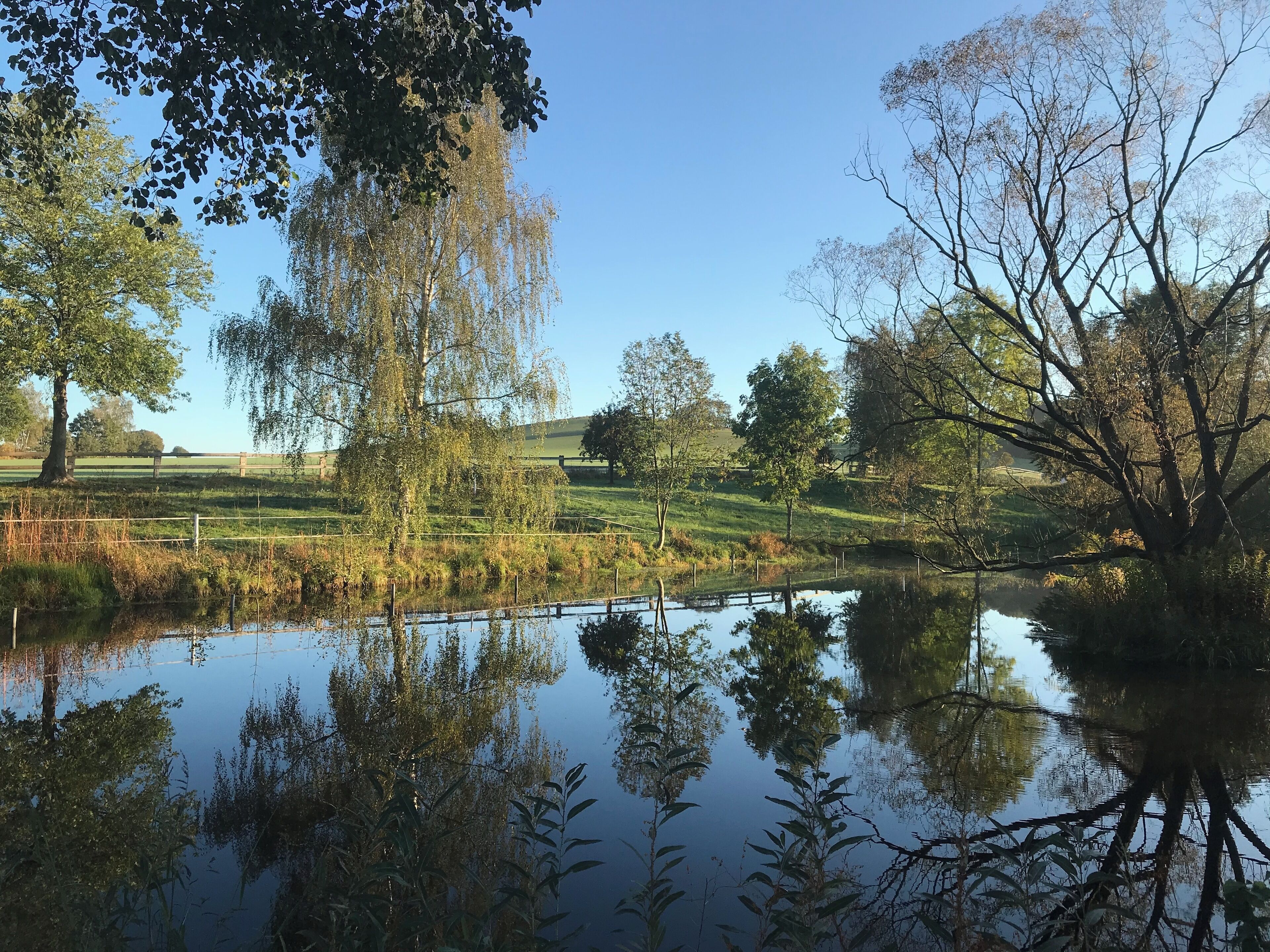 TinyHousebeiDresden klein aber fein, beste Lage Naturteich große Terrasse - Nähe Sächsische Schweiz | Lake view