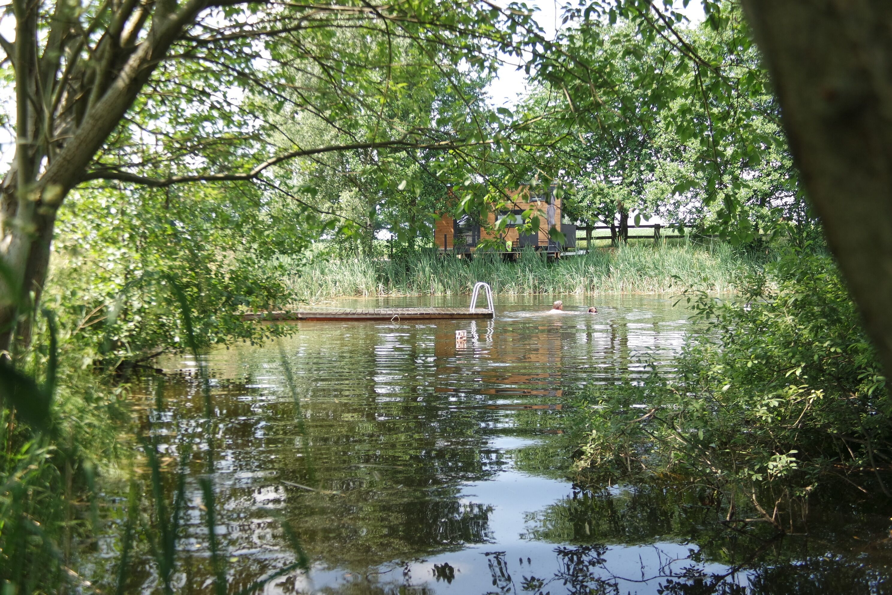 A natural setting with a water body surrounded by dense greenery and trees.