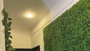 A hallway with a black door marked "902" and a wall covered in green foliage. - Penthouse in front of Estrella de Puebla 16 guest (Heroica Puebla de Zaragoza)