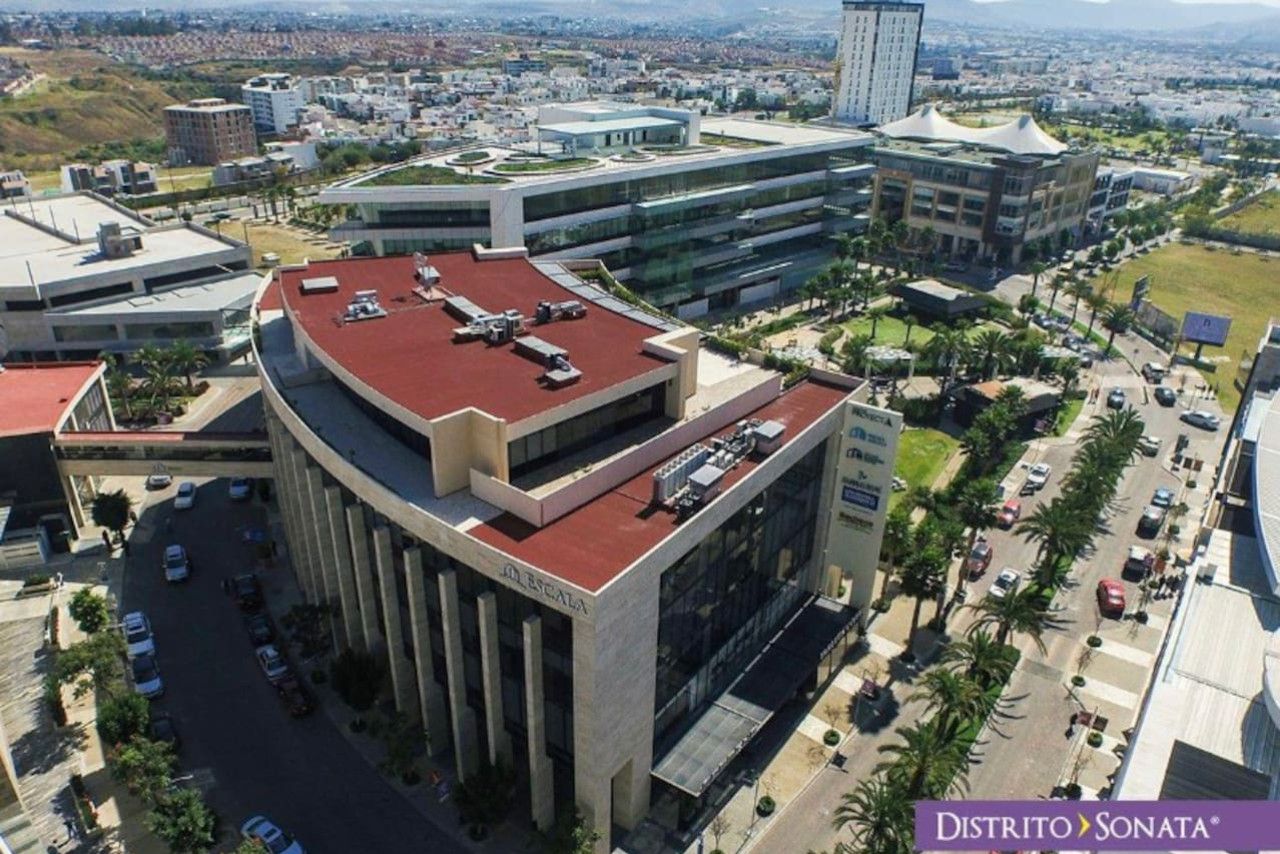 A modern building with a curved facade and a flat roof, surrounded by a parking area and palm trees.