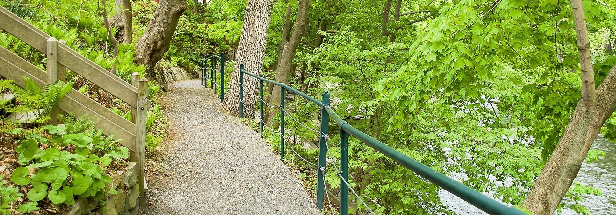 A gravel path with a wooden fence on one side and a metal railing on the other, surrounded by lush green foliage.