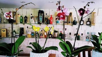 Bar (en la propiedad)