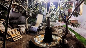 An outdoor patio area with a mosaic-tiled fire pit, a wooden bench, and a lounge chair.