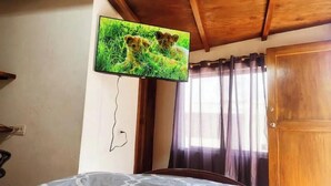 A room with a bed, a television mounted on the wall displaying a nature scene, a wooden door, and curtains.