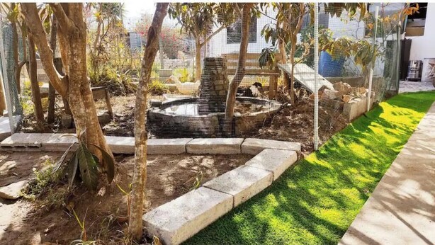 A garden with a stone fountain, trees, and a grassy area.