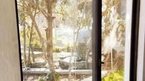 A window with a view of a garden area, including trees and a stone pathway.
