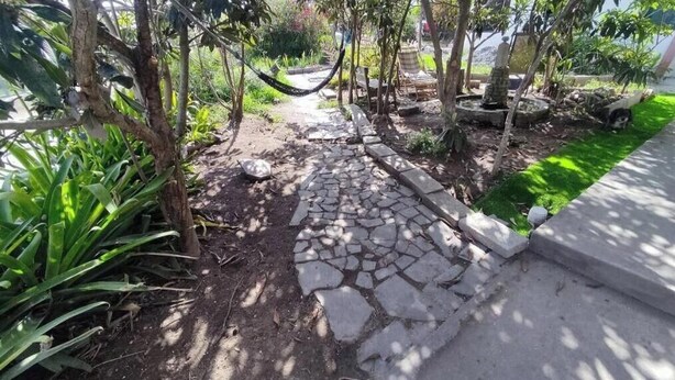 Un chemin de pierres qui traverse un jardin où l’on trouve différentes plantes et arbres.