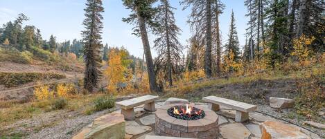 المنطقة المحيطة بالمنشأة