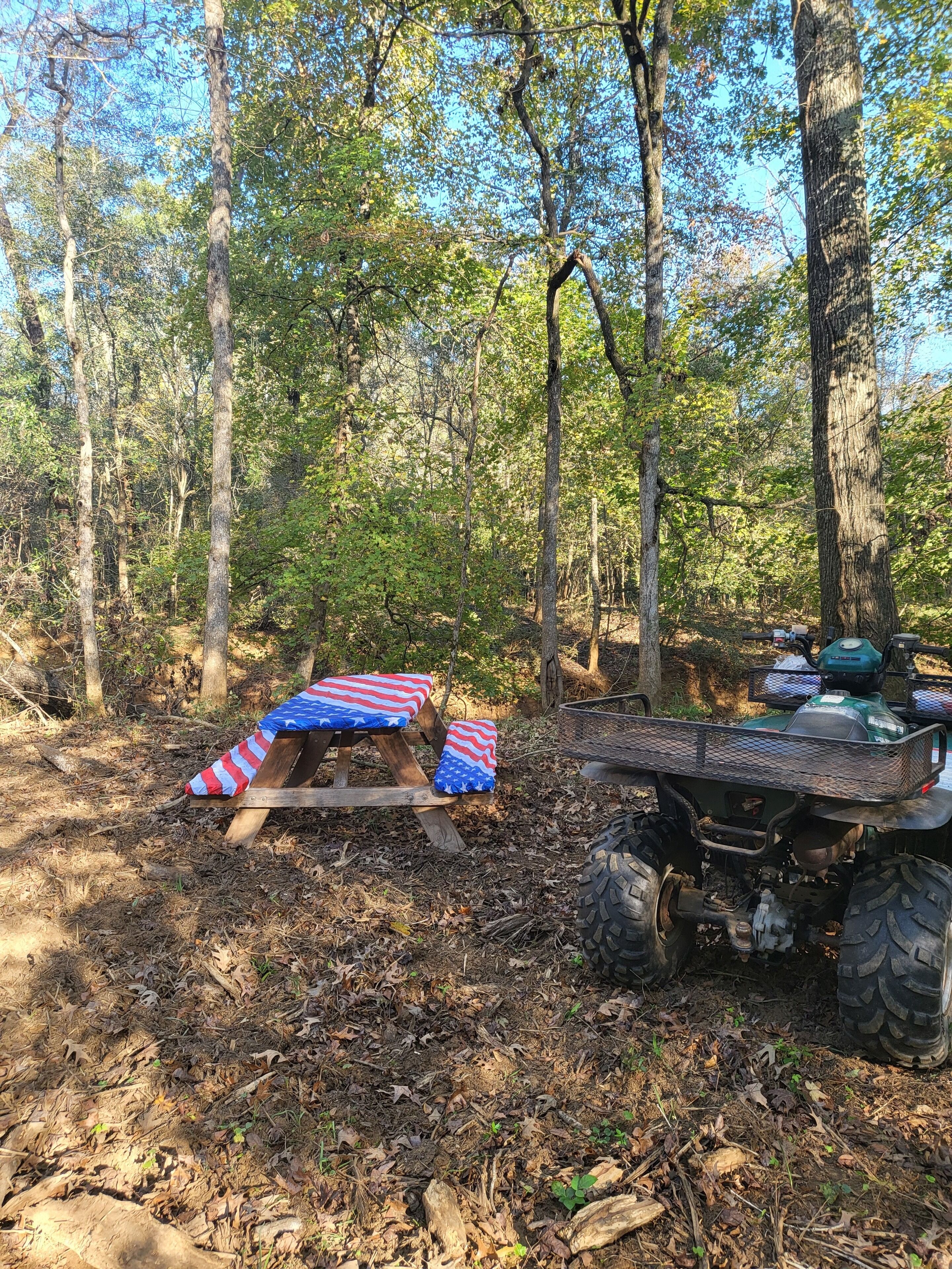 A forested area with a picnic table and an ATV.