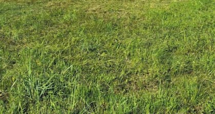 Peaceful and Private Cabin with fun activities for family & friends on 25 Acres