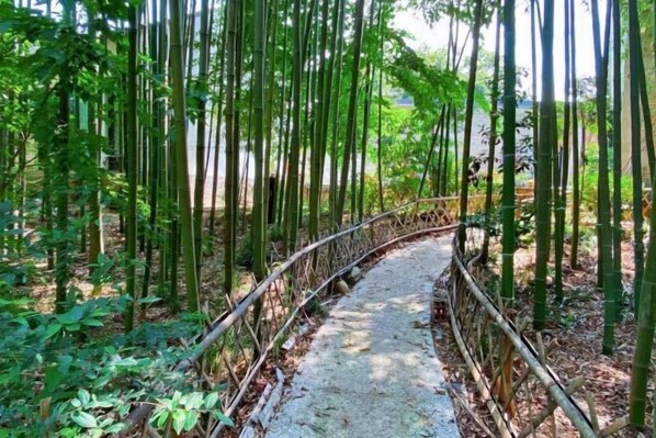 Property grounds - Ting San Rice Fields & Yard (Xuancheng)