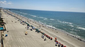A beach with rows of umbrellas and beach chairs, a pier in the background, and a clear sky.