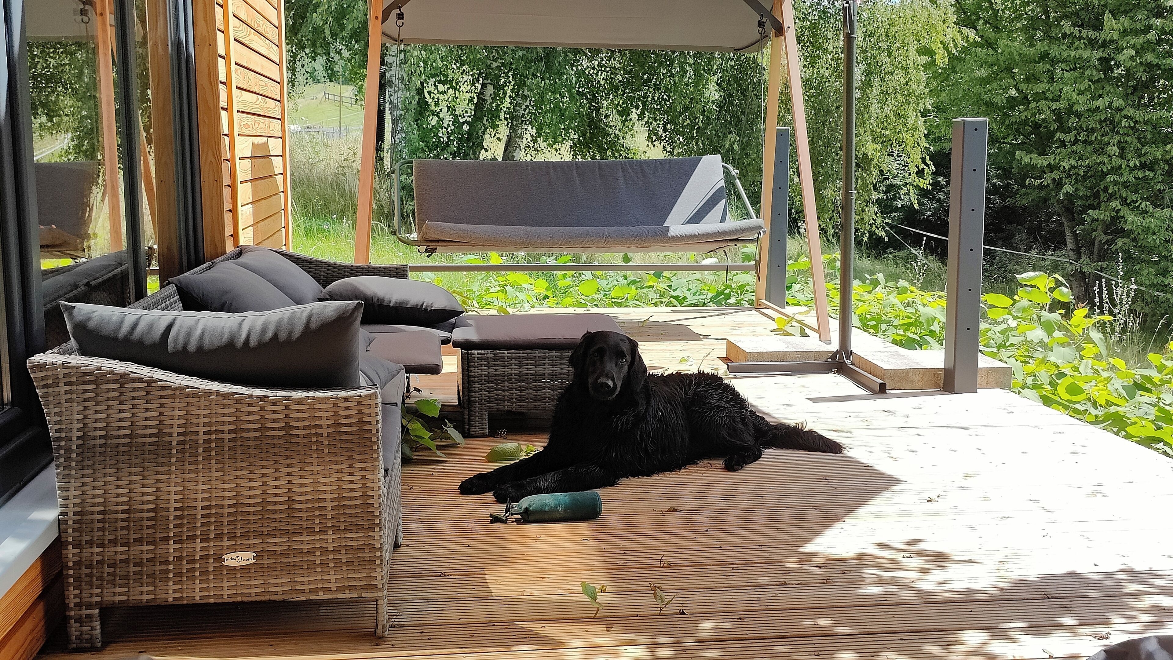 A covered outdoor seating area with wicker furniture and a dog lying on the floor.