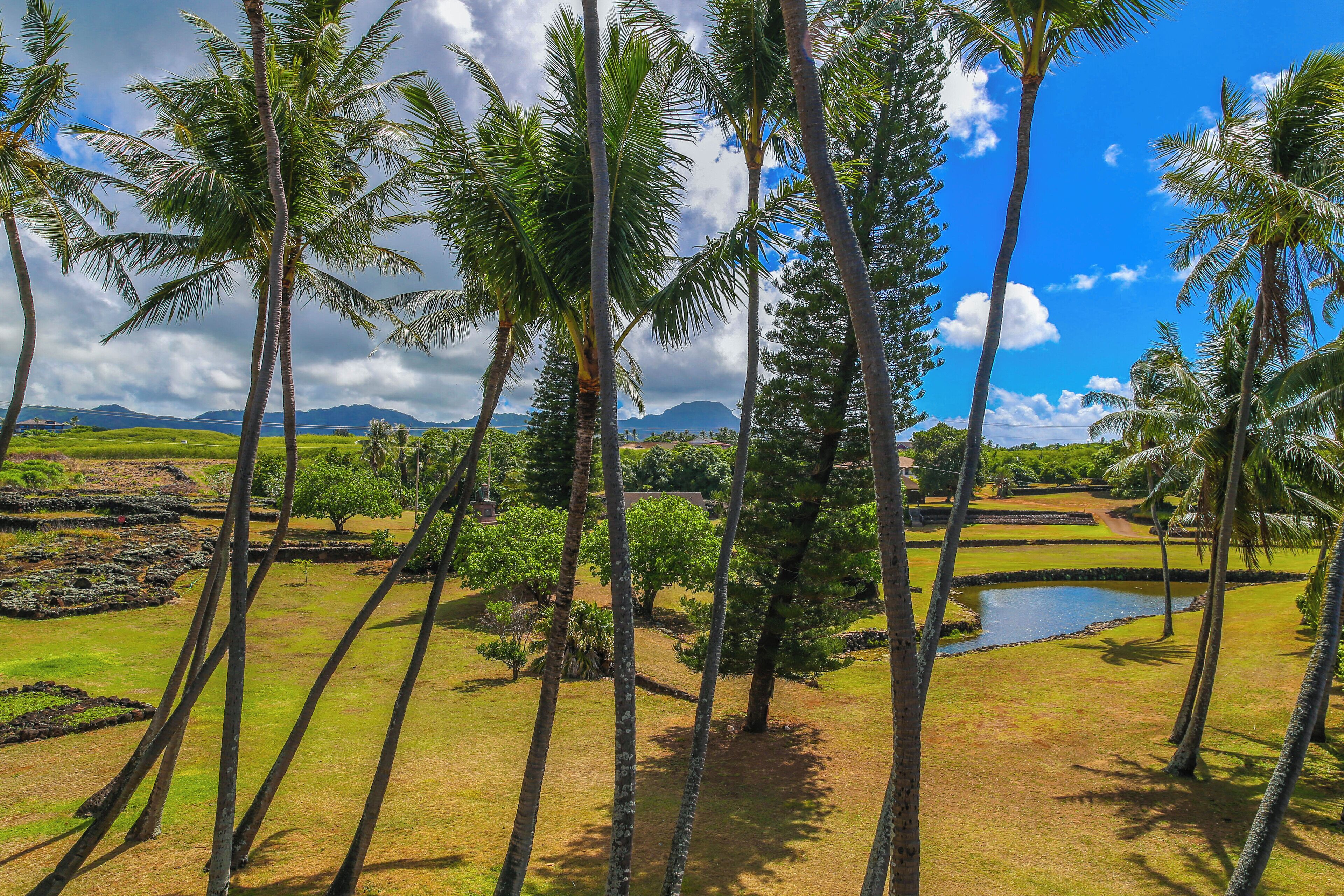 Un paysage tropical avec des palmiers, un étang et une chaîne de montagnes à l’horizon.