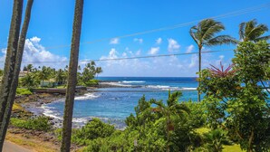 Vista della costa con palme, cielo sereno e oceano.