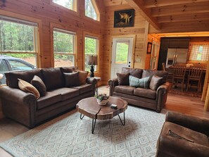 TV connectée, cheminée, jeux vidéo, lecteur de DVD