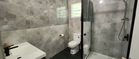 Shower, hair dryer, towels, soap