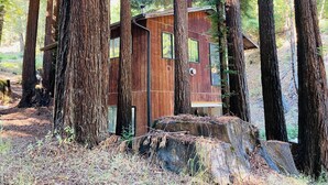 Una cabaña de madera rodeada de altos árboles en un bosque.