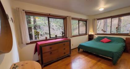 Little House in the Redwoods with hot tub!