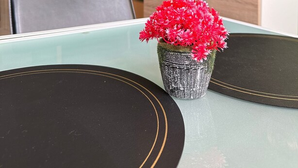 Ein Zimmer mit Esstisch, Stühlen, einem kleinen Topfpflanzen, einem Fernseher und einer Uhr an der Wand.