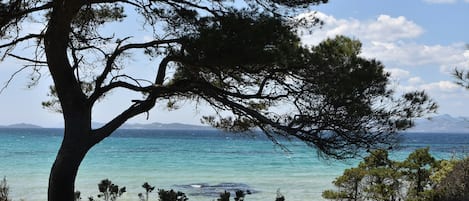 Nära stranden