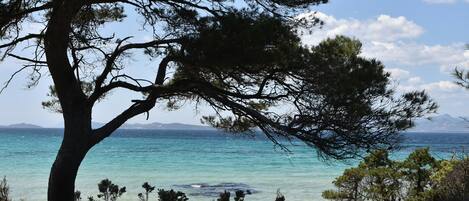 Playa en los alrededores
