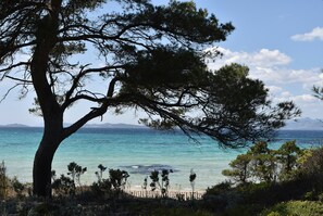 A coastal landscape with a prominent tree in the foreground, a sandy beach, and a calm sea with distant mountains. - T4 moderne | Plage La Bergerie à 650m | Piscine (Hyères)