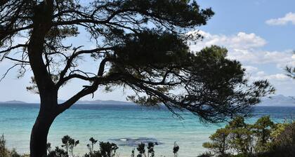 En bord de mer + piscine | T3 pour 8