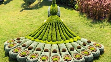 Een zorgvuldig aangelegde tuin met een centraal gelegen, pauw-vormige haagbeplanting, omringd door ronde bloembedden.