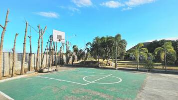An outdoor basketball court with a green surface, white boundary lines, and a basketball hoop.