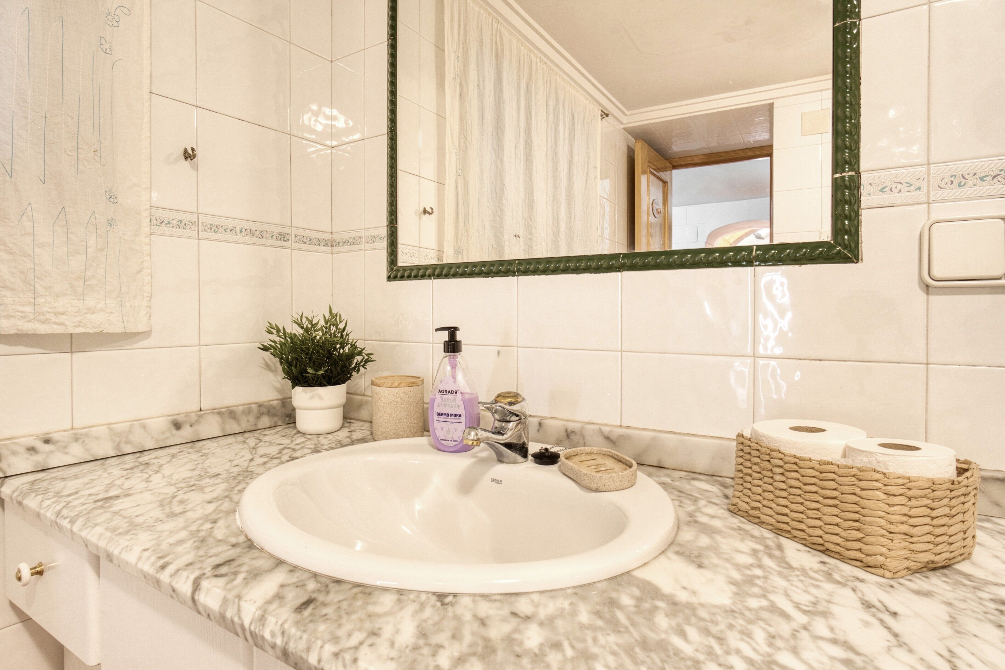 Un baño con un lavabo blanco, un espejo de marco verde, una planta en maceta, un dispensador de jabón y una cesta de papel higiénico.