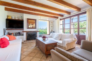 TV, caminetto, lettore DVD, tavolo da ping pong