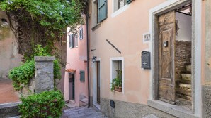 Una estrecha escalera de piedra que lleva a un edificio con una puerta de madera, un pilar de piedra y una pequeña ventana con una planta.