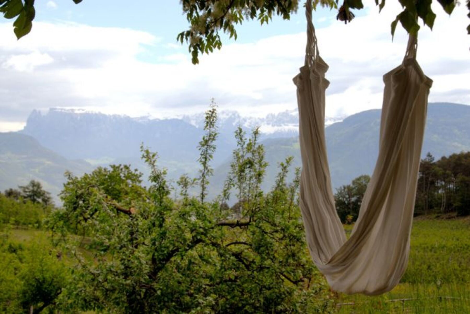 A hammock suspended between trees in a grassy field with a mountainous backdrop.