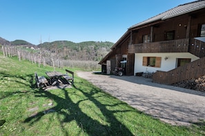 Un bâtiment rustique en bois, avec une allée de gravier, un banc et un vignoble en arrière-plan.