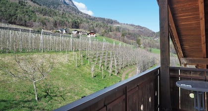 Ferienwohnung 'Theresa' mit Bergblick, Gemeinschaftsgarten und Wi-Fi