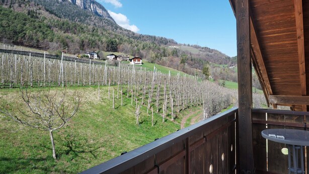 A balcony with a view of a vineyard and a mountain. - Apartment 'Theresa' with Mountain View, Shared Garden and Wi-Fi (Appiano)