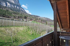 Un balcón con vistas a un viñedo y una montaña.